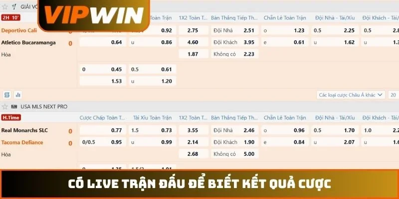 Có live trận đấu để biết kết quả cược