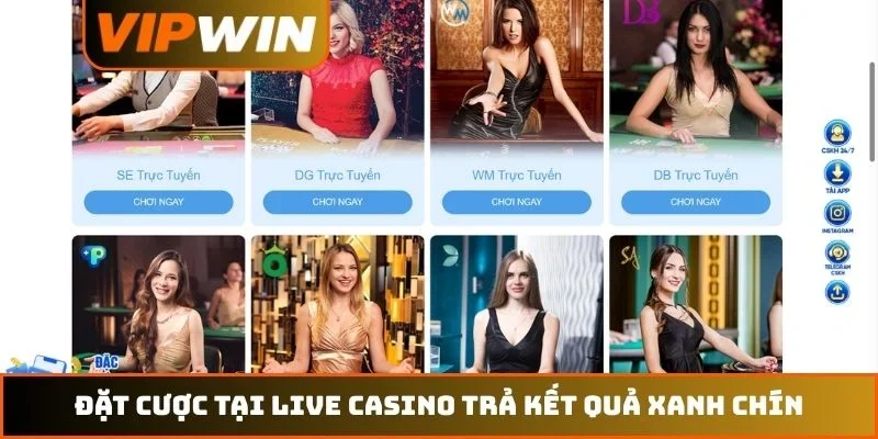 Trang chủ 15 Đặt cược tại live casino trả kết quả xanh chín