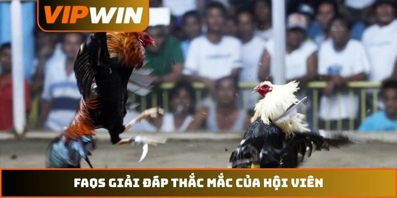 FAQs giải đáp thắc mắc của hội viên