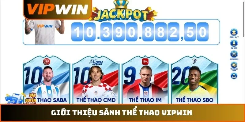 Giới thiệu sảnh thể thao VIPWIN