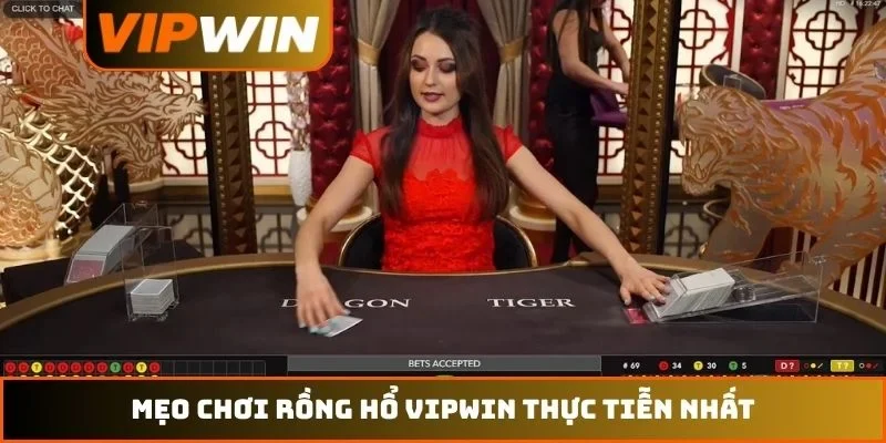 Mẹo Chơi Rồng Hổ VIPWIN – Bí Quyết Săn Thưởng Năm 2026 3 Mẹo chơi Rồng Hổ VIPWIN thực tiễn nhất