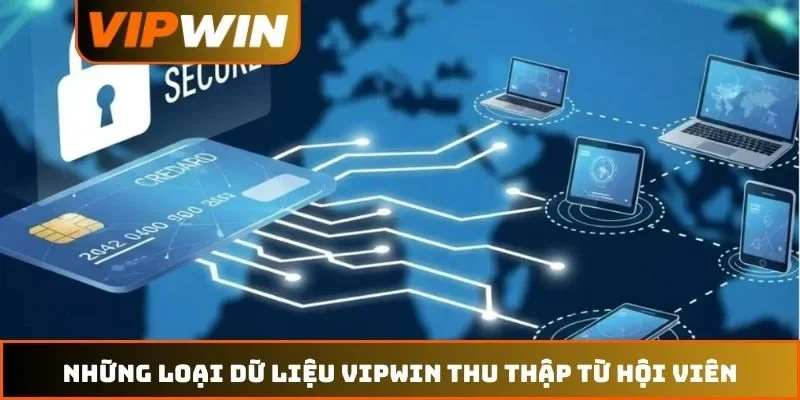 Những loại dữ liệu VIPWIN thu thập từ hội viên