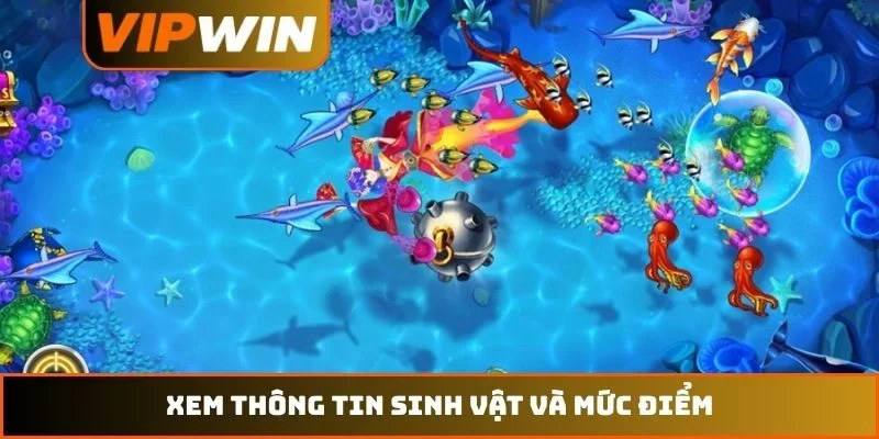 Xem thông tin sinh vật và mức điểm